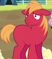 Size: 430x485 | Tagged: safe, edit, edited screencap, imported from derpibooru, screencap, big macintosh, earth pony, pony, brotherhooves social, cropped, floppy ears, male, missing accessory, missing cutie mark, nervous, nude edit, nudity, stallion