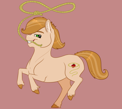 Size: 2000x1780 | Tagged: safe, artist:ganashiashaka, imported from derpibooru, oc, oc only, oc:freckle trick, earth pony, pony, colt, lasso, male, offspring, parent:big macintosh, parent:sugar belle, parents:sugarmac, pink background, rope, simple background, solo