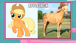 Size: 1366x768 | Tagged: safe, imported from derpibooru, applejack, image macro, live action applejack, meme, wat