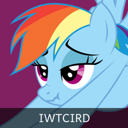 Size: 1024x1024 | Tagged: safe, imported from derpibooru, rainbow dash, pony, derpibooru, bedroom eyes, female, iwtcird, mare, meme, meta, scrunchy face, solo, spoilered image joke