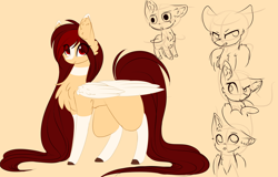 Size: 1024x657 | Tagged: safe, artist:little-sketches, artist:php146, imported from derpibooru, oc, oc only, oc:shiroi, pegasus, pony, blank flank, chest fluff, reference sheet, solo