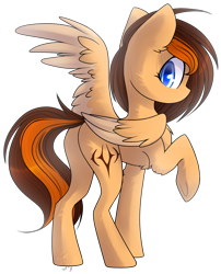 Size: 1632x2017 | Tagged: safe, artist:starlyfly, artist:starlyflygallery, imported from derpibooru, oc, oc only, oc:aerion featherquill, pegasus, pony, chest fluff, cutie mark, female, flank, looking back, mare, one wing out, raised hoof, raised leg, rear view, simple background, solo, transparent background, underhoof