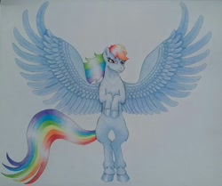 Size: 1724x1440 | Tagged: safe, artist:maximustimaeus, imported from derpibooru, rainbow dash, pony, bipedal, female, solo, spread wings, traditional art, wings