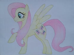 Size: 1932x1440 | Tagged: safe, artist:maximustimaeus, imported from derpibooru, fluttershy, pony, colored pencil drawing, female, solo, spread wings, traditional art, wings