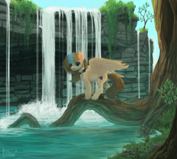 Size: 1999x1795 | Tagged: safe, artist:graypillow, imported from derpibooru, oc, oc only, pegasus, pony, collar, female, forest, looking at you, mare, scenery, solo, spread wings, tree, tree roots, waterfall, wings