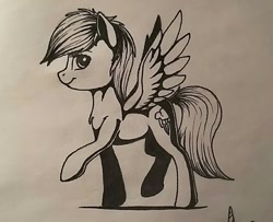 Size: 887x720 | Tagged: safe, artist:deltauraart, imported from derpibooru, rainbow dash, female, monochrome, raised hoof, solo, traditional art