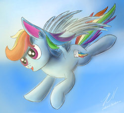 Size: 900x816 | Tagged: safe, artist:jackmuir, deleted from derpibooru, imported from derpibooru, rainbow dash, flying, morning light, solo