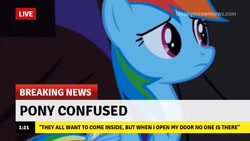 Size: 640x360 | Tagged: safe, edit, edited screencap, imported from derpibooru, screencap, rainbow dash, pegasus, pony, break your own news, breaking news, confused, cute, dashabetes, female, frown, innocent, iwtcird, live, mare, meme, naive, quote, solo