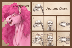 Size: 1800x1200 | Tagged: safe, artist:turnipberry, imported from derpibooru, pinkie pie, pony, anatomy, anatomy study, bone, female, mare, realistic anatomy, skeleton, solo