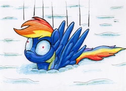 Size: 1699x1223 | Tagged: safe, artist:bbqninja501st, imported from derpibooru, rainbow dash, pegasus, pony, :<, female, hypothermia, mare, shocked, snow, solo, traditional art, wide eyes