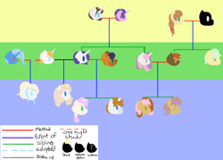 Size: 7000x5000 | Tagged: safe, artist:kannayui, imported from derpibooru, button mash, capper dapperpaws, cookie crumbles, hondo flanks, prince blueblood, rarity, sweetie belle, trixie, oc, my little pony: the movie, absurd resolution, bluetrix, capperity, family tree, female, male, offspring, parent:button mash, parent:prince blueblood, parent:rarity, parent:sweetie belle, parent:trixie, parents:bluetrix, parents:capperity, parents:rariblood, parents:sweetiemash, rariblood, shipping, straight, sweetiemash