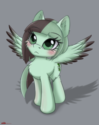 Size: 1869x2357 | Tagged: safe, artist:orang111, imported from derpibooru, oc, oc only, oc:minty gale, pegasus, pony, blushing, cheek fluff, chest fluff, female, simple background, solo, spread wings, wings