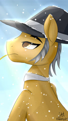 Size: 1080x1920 | Tagged: safe, artist:dashy21, imported from derpibooru, igneous rock pie, earth pony, pony, hat, male, snow, snowfall, solo, stallion