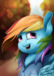 Size: 1024x1448 | Tagged: safe, artist:xormak, imported from derpibooru, rainbow dash, pegasus, pony, autumn, clothes, female, hoodie, mare, path, solo, tree