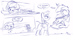 Size: 6000x3000 | Tagged: safe, artist:dilarus, deleted from derpibooru, imported from derpibooru, maud pie, rainbow dash, earth pony, pegasus, pony, meet-the-pones, comic, female, mare, monochrome, simple background, sketch, white background