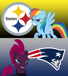 Size: 1920x2160 | Tagged: safe, artist:ejlightning007arts, artist:sunran80, imported from derpibooru, rainbow dash, tempest shadow, my little pony: the movie, american football, new england patriots, nfl, obligatory pony, pittsburgh steelers, sports, vector