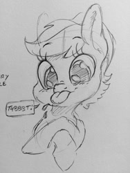 Size: 960x1280 | Tagged: safe, artist:dilarus, deleted from derpibooru, imported from derpibooru, oc, oc only, oc:raspberry razzle, pegasus, pony, female, grayscale, mare, monochrome, onomatopoeia, pencil drawing, raspberry, raspberry noise, solo, tongue out, traditional art