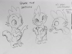 Size: 1280x960 | Tagged: safe, artist:dilarus, deleted from derpibooru, imported from derpibooru, oc, oc only, oc:spork, dragon, burp, fire, grayscale, male, monochrome, pencil drawing, reference sheet, solo, traditional art