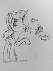 Size: 960x1280 | Tagged: safe, artist:dilarus, deleted from derpibooru, imported from derpibooru, oc, oc only, oc:raspberry razzle, pegasus, pony, female, food, grayscale, mare, monochrome, onomatopoeia, pencil drawing, raspberry, raspberry (food), raspberry noise, simple background, solo, tongue out, traditional art, white background