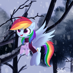 Size: 1550x1550 | Tagged: safe, artist:songbirdserenade, imported from derpibooru, rainbow dash, pegasus, pony, clothes, cute, daaaaaaaaaaaw, dashabetes, female, flying, hnnng, mare, open mouth, scarf, smiling, solo, spread wings, sweater, wings, winter