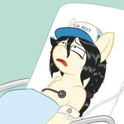 Size: 576x576 | Tagged: safe, artist:scraggleman, imported from derpibooru, oc, oc only, oc:floor bored, earth pony, pony, bags under eyes, bed, blanket, chest fluff, derail in the comments, female, hat, hospital bed, iv drip, lol comments, mare, regular show, simple background, solo