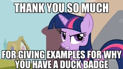 Size: 1365x768 | Tagged: safe, edit, edited screencap, imported from derpibooru, screencap, twilight sparkle, pony, it's about time, annoyed, female, image macro, mare, meme, op is a duck (reaction image), reaction image, solo