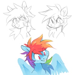 Size: 908x924 | Tagged: source needed, safe, artist:xenon, imported from derpibooru, rainbow dash, pegasus, pony, bust, expressions, female, mare, simple background, smiling, solo, white background