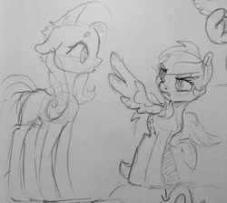 Size: 1280x1144 | Tagged: safe, artist:dilarus, deleted from derpibooru, imported from derpibooru, fluttershy, rainbow dash, pegasus, pony, female, grayscale, mare, monochrome, sketch, spread wings, traditional art, wings