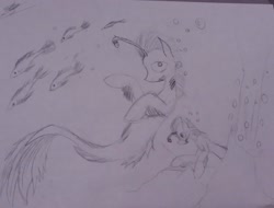 Size: 2344x1777 | Tagged: safe, artist:drawingwithapitoffriendship, imported from derpibooru, changeling, fish, hybrid, seapony (g4), angler seapony, bubble, sketch, traditional art, underwater