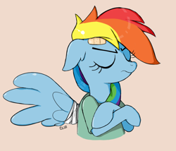 Size: 814x697 | Tagged: safe, artist:suismal, imported from derpibooru, rainbow dash, pony, read it and weep, bandage, bandaid, bust, clothes, crossed hooves, eyes closed, female, floppy ears, simple background, solo, spread wings, unamused, wings