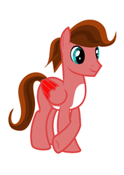 Size: 362x512 | Tagged: safe, artist:riofluttershy, imported from derpibooru, oc, oc only, oc:crimsonwing, pegasus, pony, male, pegasus oc, solo