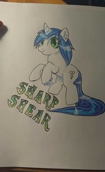 Size: 584x960 | Tagged: safe, artist:annuthecatgirl, imported from derpibooru, oc, oc only, oc:sharp shear, pony, badge, rearing, solo, traditional art