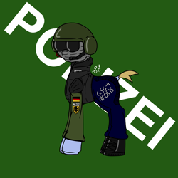 Size: 3000x3000 | Tagged: safe, artist:lambdacat, imported from derpibooru, oc, oc only, pony, ambiguous gender, clothes, german, gsg9, helmet, police, polizei, simple background, solo, uniform