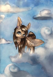 Size: 900x1296 | Tagged: safe, artist:rinioshi, imported from derpibooru, oc, oc only, pegasus, pony, cloud, ear fluff, female, mare, sky, solo, traditional art