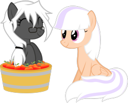 Size: 1765x1422 | Tagged: safe, artist:zacatron94, imported from derpibooru, oc, oc only, oc:captain white, oc:sweep star, pegasus, pony, apple, basket, female, food, mare, pony in a basket, simple background, sitting, transparent background, vector