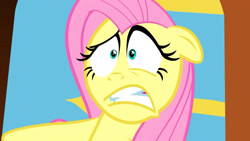 Size: 1920x1080 | Tagged: safe, imported from derpibooru, screencap, fluttershy, worried