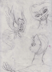 Size: 825x1141 | Tagged: safe, artist:rinioshi, imported from derpibooru, lightning dust, rainbow dash, pegasus, pony, duo, female, fight, flying, mare, monochrome, sketch, traditional art