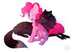 Size: 965x695 | Tagged: safe, artist:hioshiru, imported from derpibooru, pinkie pie, earth pony, pony, wolf, chest fluff, duo, female, mare, one eye closed, open mouth, prone, raised hoof, simple background, sitting, smiling, snuggling, white background