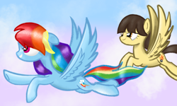 Size: 5000x3000 | Tagged: safe, artist:songbirdserenade, imported from derpibooru, rainbow dash, wild fire, pony, absurd resolution, duo, flying, grin, sky, smiling