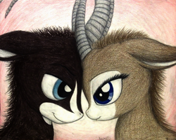 Size: 1340x1072 | Tagged: safe, artist:thefriendlyelephant, imported from derpibooru, oc, oc only, oc:sabe, oc:uganda, antelope, giant sable antelope, animal in mlp form, cute, face to face, horns, lidded eyes, love, traditional art, valentine's day
