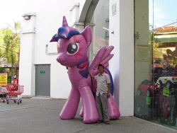 Size: 1280x960 | Tagged: safe, imported from derpibooru, twilight sparkle, alicorn, human, inflatable pony, inflatable, irl, irl human, mexico, photo, rainbow power, twilight sparkle (alicorn)