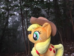 Size: 3264x2448 | Tagged: safe, artist:setorin5, imported from derpibooru, applejack, pony, 4de, forest, irl, japan, photo, plushie, ponies around the world, solo