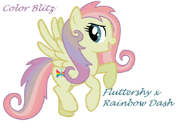 Size: 1021x784 | Tagged: safe, artist:supercambolicious, imported from derpibooru, oc, oc only, oc:color blitz, pegasus, pony, magical lesbian spawn, offspring, parent:fluttershy, parent:rainbow dash, parents:flutterdash, simple background, solo, white background