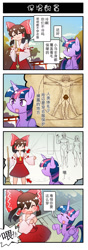 Size: 660x1867 | Tagged: safe, artist:sweetsound, imported from derpibooru, twilight sparkle, alicorn, pony, 4koma, barbie doll anatomy, chinese, comic, crossover, hakurei reimu, pioneer plaque, touhou, translated in the comments, twilight sparkle (alicorn), vitruvian man