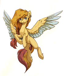 Size: 1128x1327 | Tagged: safe, artist:koviry, imported from derpibooru, oc, oc only, pegasus, pony, colored sketch, simple background, solo, traditional art, white background