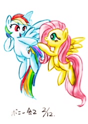 Size: 904x1280 | Tagged: safe, artist:remyroez, imported from derpibooru, fluttershy, rainbow dash, duo, eye contact, floating, flying, looking at each other, open mouth, signature, simple background, spread wings, white background