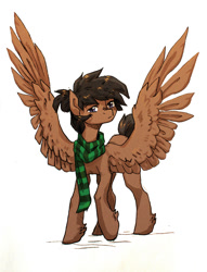 Size: 1050x1372 | Tagged: safe, artist:koviry, imported from derpibooru, oc, oc only, pegasus, pony, clothes, female, looking at you, mare, scarf, simple background, solo, spread wings, unshorn fetlocks, white background