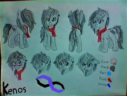 Size: 640x480 | Tagged: safe, artist:kenos, imported from derpibooru, oc, oc only, oc:kenos, earth pony, pony, reference sheet, solo, traditional art