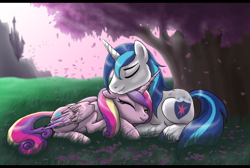 Size: 2400x1609 | Tagged: safe, artist:dawnmistpony, imported from derpibooru, princess cadance, shining armor, alicorn, pony, unicorn, cherry blossoms, cute, eyes closed, female, flower, flower blossom, husband and wife, male, scenery, smiling, tree