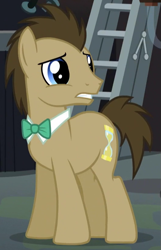 Size: 529x820 | Tagged: safe, imported from derpibooru, screencap, doctor whooves, time turner, pony, slice of life (episode), male, solo, stallion